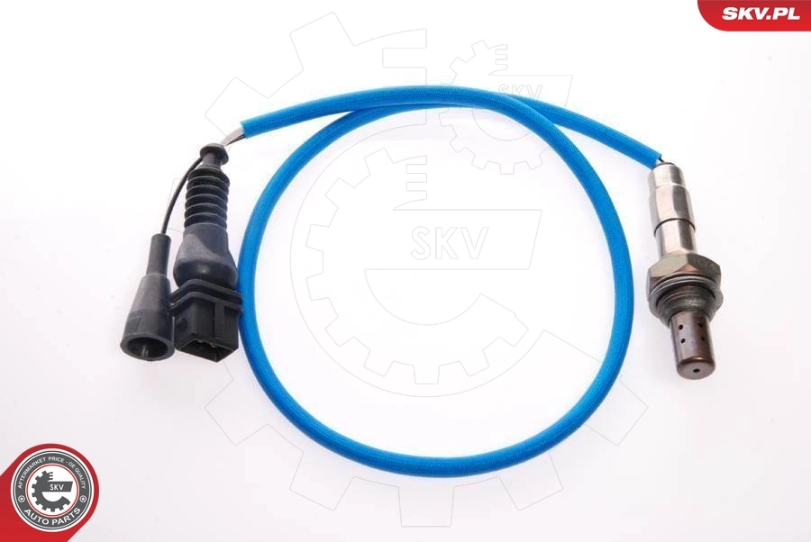 Oxygen Sensor